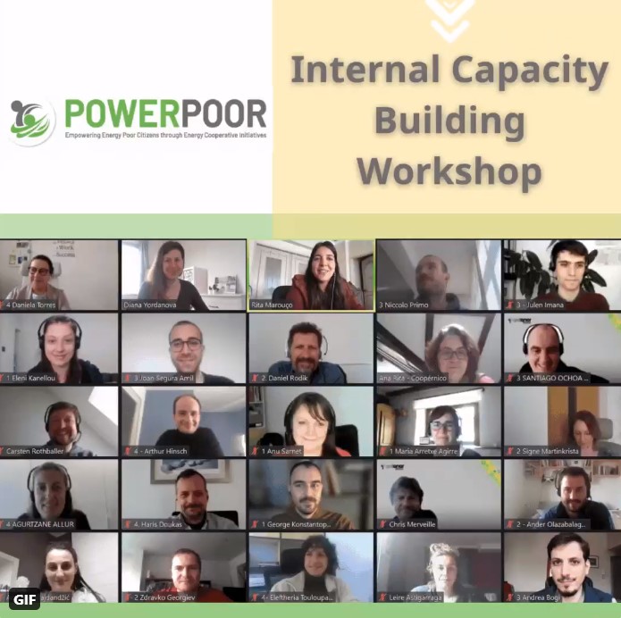 Partners in the online workshop 